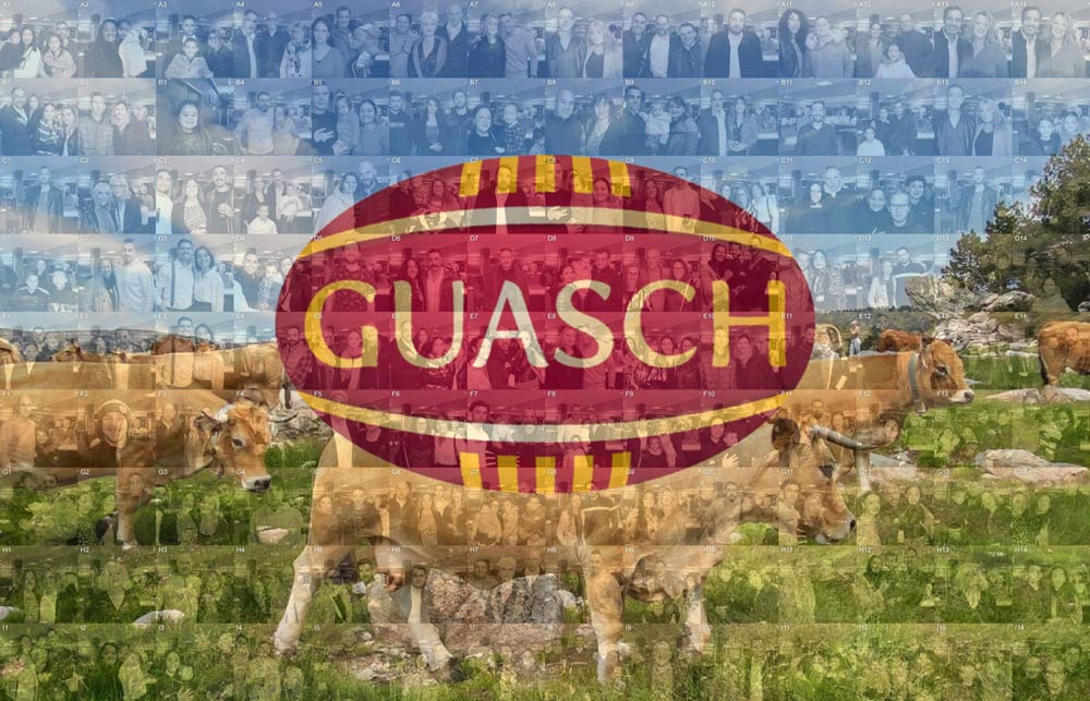 anniversaire-70-ans-guash-photo-mosaique-mosaic-experience-pyrenees-orientales-66
