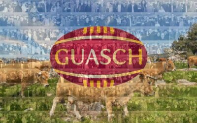 Une mosaïque photo géante pour les 70 ans de Guasch